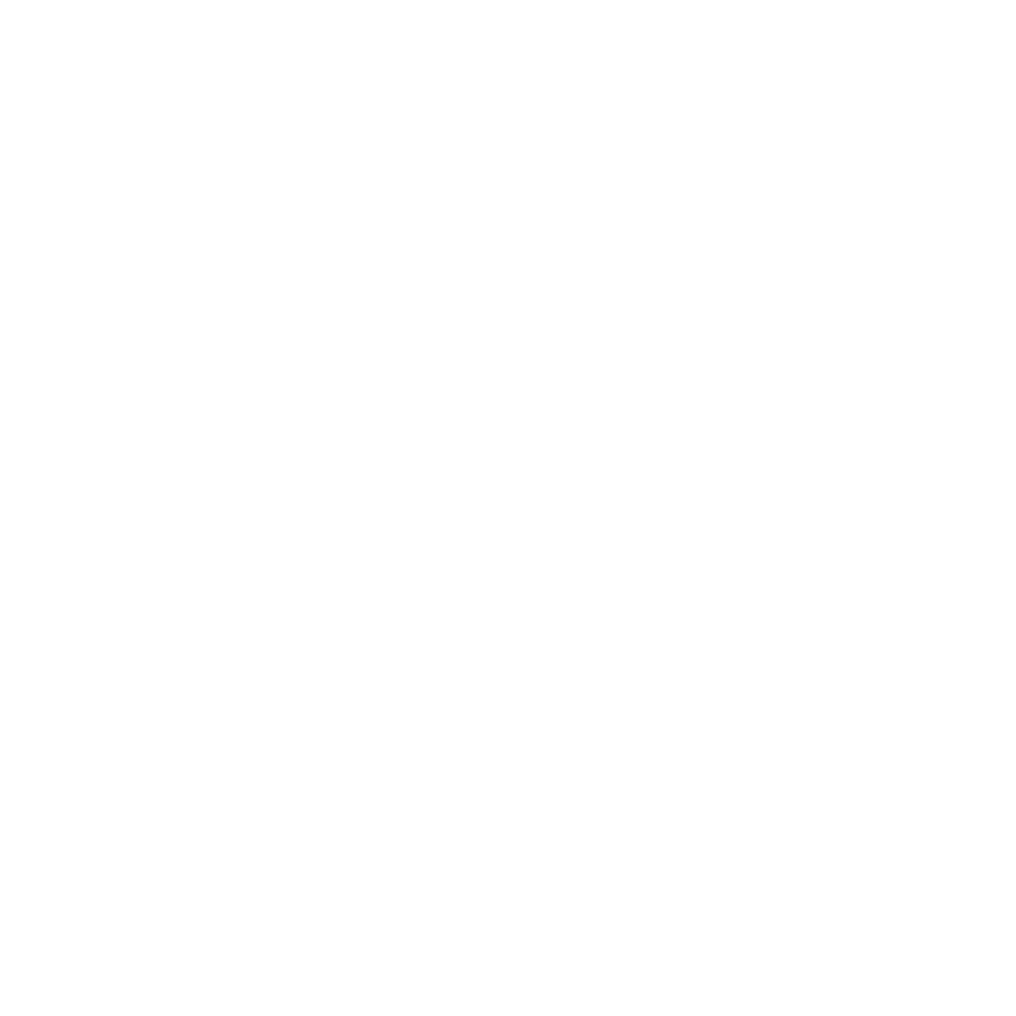 Program Image