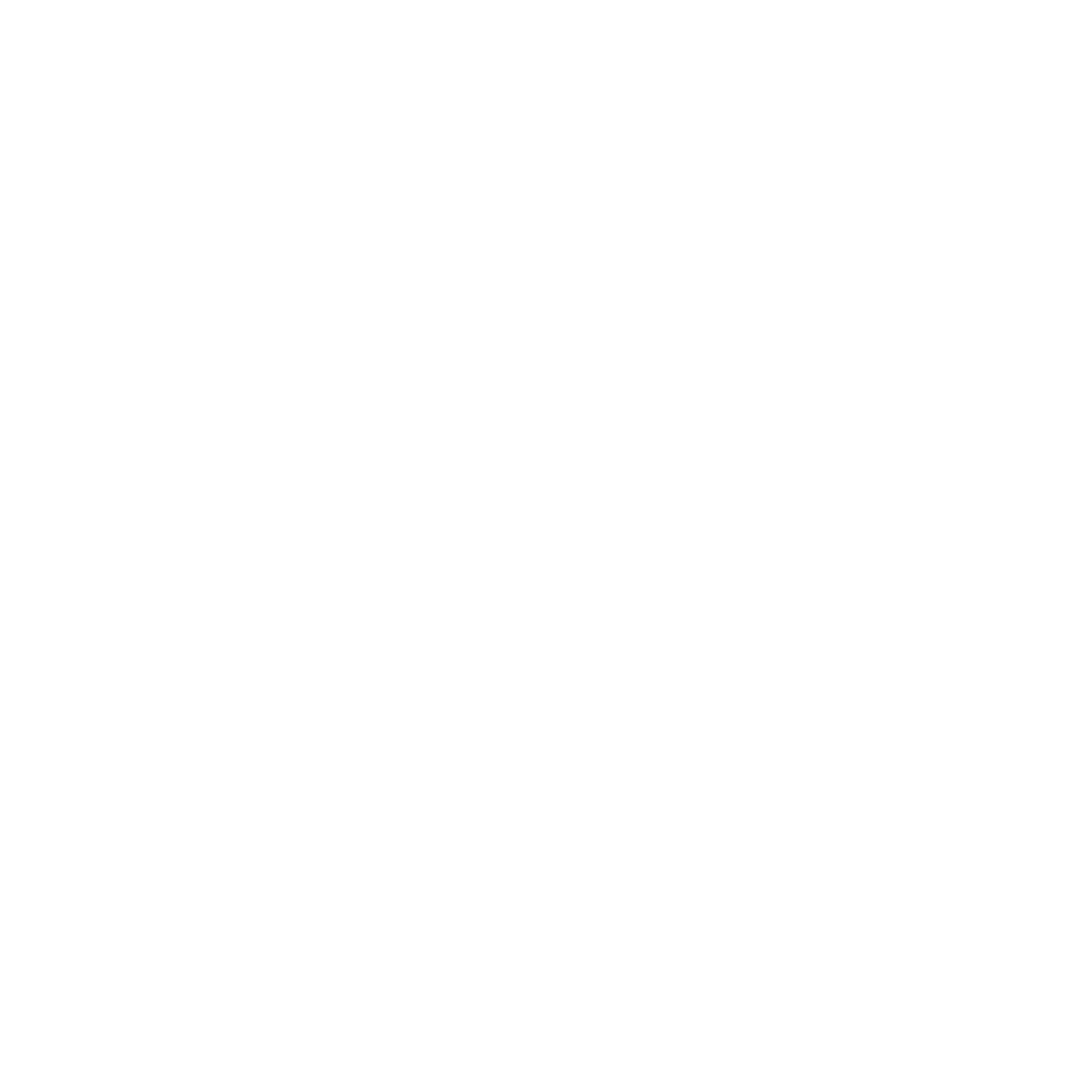 Program Image
